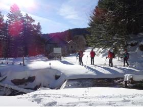 photo coins arrondis